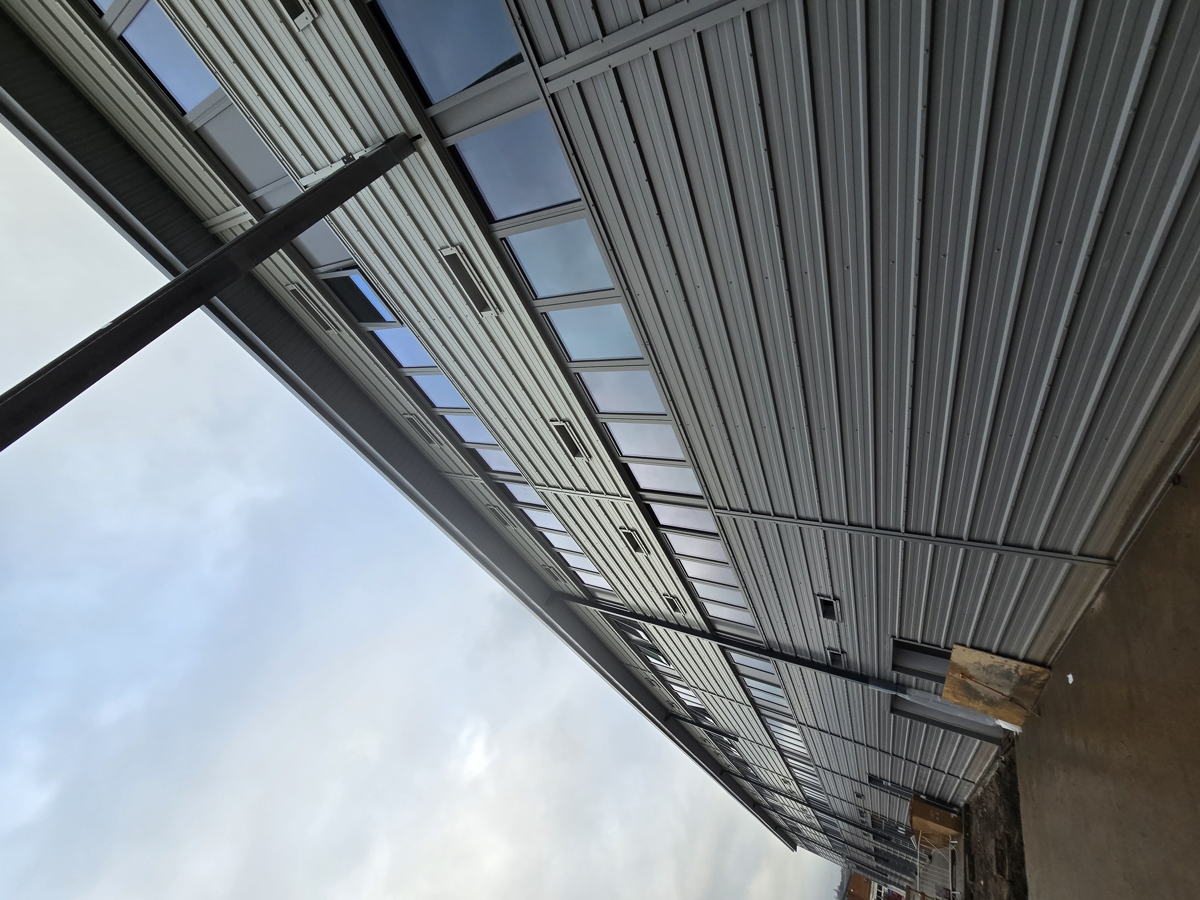 Haley Dexis - Halesowen